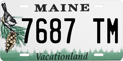 ME license plate 7687TM