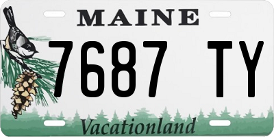 ME license plate 7687TY