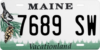 ME license plate 7689SW