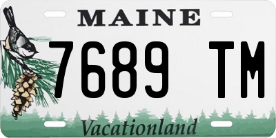ME license plate 7689TM