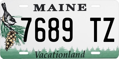 ME license plate 7689TZ