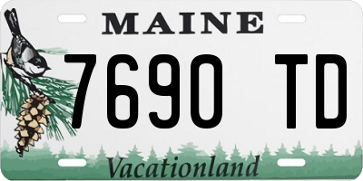 ME license plate 7690TD