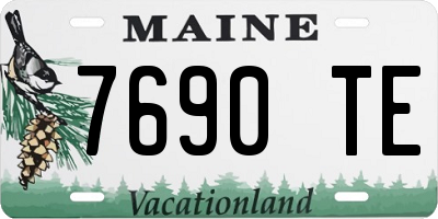ME license plate 7690TE