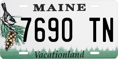 ME license plate 7690TN