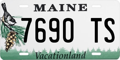 ME license plate 7690TS