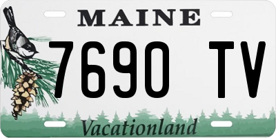 ME license plate 7690TV