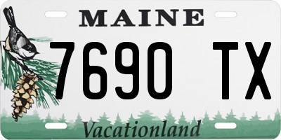 ME license plate 7690TX