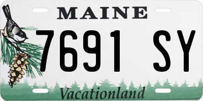 ME license plate 7691SY