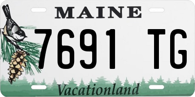 ME license plate 7691TG