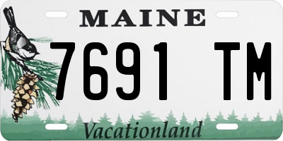 ME license plate 7691TM