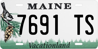 ME license plate 7691TS