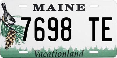 ME license plate 7698TE