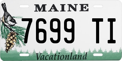 ME license plate 7699TI