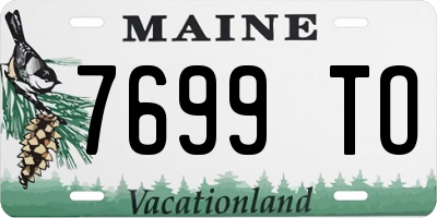 ME license plate 7699TO