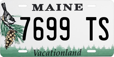 ME license plate 7699TS