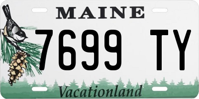 ME license plate 7699TY