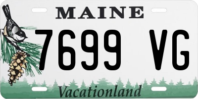 ME license plate 7699VG