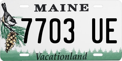 ME license plate 7703UE