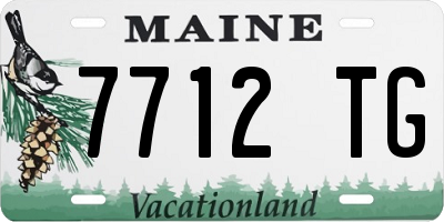 ME license plate 7712TG