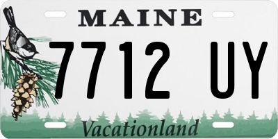 ME license plate 7712UY