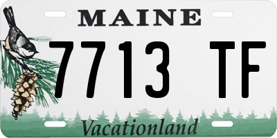 ME license plate 7713TF