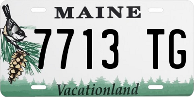ME license plate 7713TG