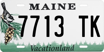 ME license plate 7713TK