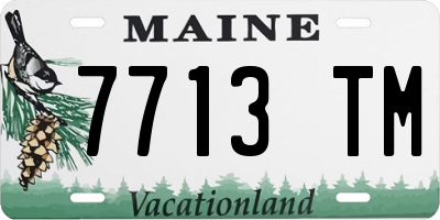 ME license plate 7713TM