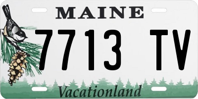ME license plate 7713TV