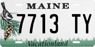 ME license plate 7713TY