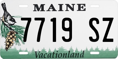 ME license plate 7719SZ