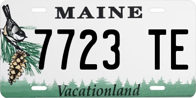 ME license plate 7723TE