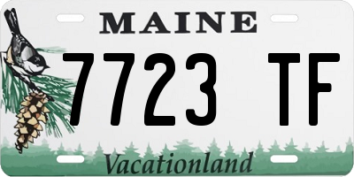 ME license plate 7723TF