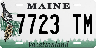 ME license plate 7723TM