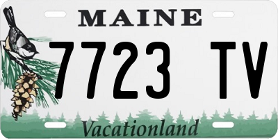 ME license plate 7723TV