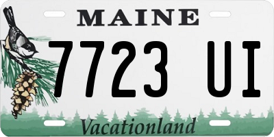 ME license plate 7723UI