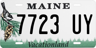 ME license plate 7723UY