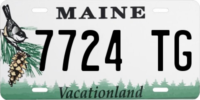 ME license plate 7724TG