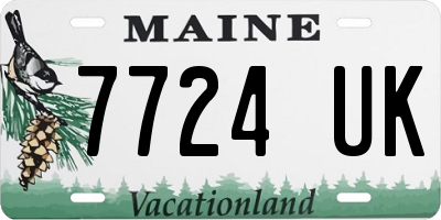 ME license plate 7724UK