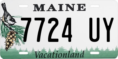 ME license plate 7724UY