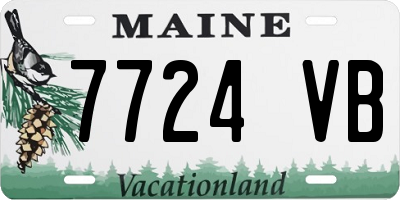 ME license plate 7724VB