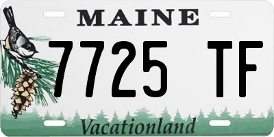 ME license plate 7725TF