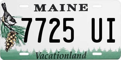 ME license plate 7725UI