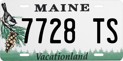 ME license plate 7728TS