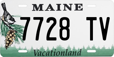 ME license plate 7728TV