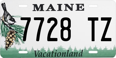 ME license plate 7728TZ