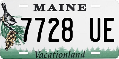 ME license plate 7728UE