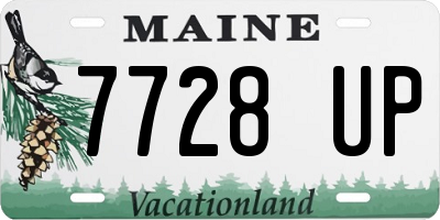 ME license plate 7728UP