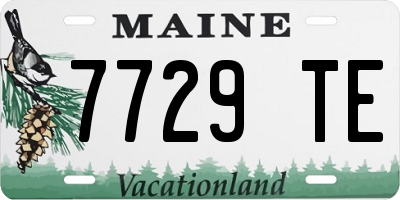 ME license plate 7729TE