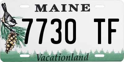 ME license plate 7730TF